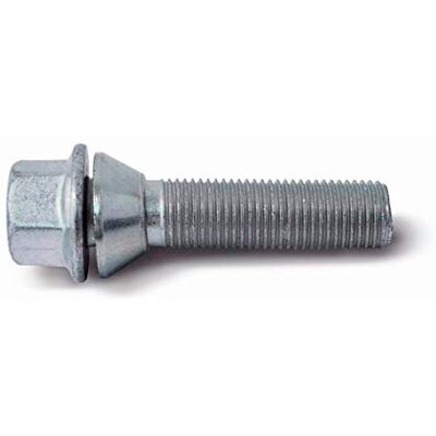 H&R 1455308 Hjul bult avsmalnande huvud med rörlig kon M14x1,50-längd 53 mm (t.ex. Kompatibel med BMW, Volvo), silver H&R 1455308 Hjul bult avsmalnande huvud med rörlig kon M14x1,50-längd 53 mm (t.ex. Kompatibel med BMW, Volvo), silver