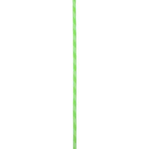 Edelrid Pes Cord 6mm 8m - Grön - Unisex - Klättringskabel Edelrid Pes Cord 6mm 8m - Grön - Unisex - Klättringskabel