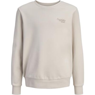 JACK & JONES Jjroar Sweat Crew Neck Jnr, Moonbeam, 140 JACK & JONES Jjroar Sweat Crew Neck Jnr, Moonbeam, 140