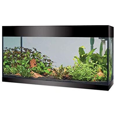 Askoll Pure XL Akvarium - Stor, Svart - Akvarium Askoll Pure XL Akvarium - Stor, Svart - Akvarium