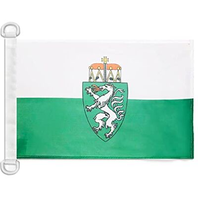 AZ FLAG Steiermarks flagga 45 x 30 cm Steiermark nautisk flagga i Österrike specialbåt och nätblock utomhus med integrerade plastringar 30 g AZ FLAG Steiermarks flagga 45 x 30 cm Steiermark nautisk flagga i Österrike specialbåt och nätblock utomhus med integrerade plastringar 30 g