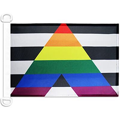 AZ FLAG Båtflagga Gay Straight Alliance 45x30 cm Mesh-Polyester Plastringar Utomhus- och marint bruk båtflagga vädertålig med dubbelsydda sömmar och förstärkta kanter AZ FLAG Båtflagga Gay Straight Alliance 45x30 cm Mesh-Polyester Plastringar Utomhus- och marint bruk båtflagga vädertålig med dubbelsydda sömmar och förstärkta kanter