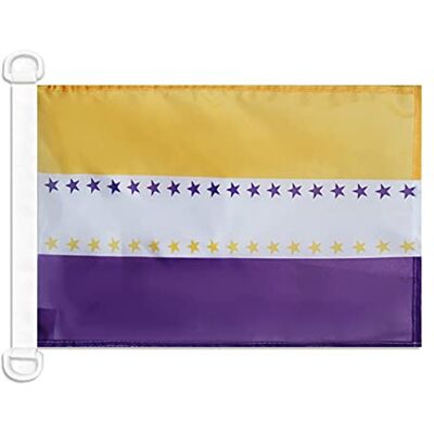 AZ FLAG Flagga XIX-ändring av Förenta staternas konstitution 45 x 30 cm speciell båt- och utomhusflagga i blockerat nät med integrerade plastringar 30 g AZ FLAG Flagga XIX-ändring av Förenta staternas konstitution 45 x 30 cm speciell båt- och utomhusflagga i blockerat nät med integrerade plastringar 30 g