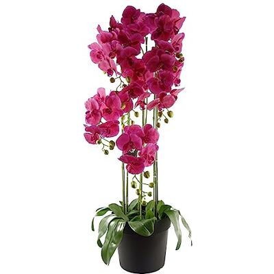 Leaf Bladdesign UK realistisk konstgjord orkidéblomma display i kruka Leaf Bladdesign UK realistisk konstgjord orkidéblomma display i kruka