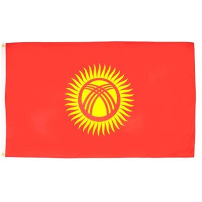 AZ FLAG Kirgizistans flagga 150 x 90 cm lättviktig polyester Kirgizistans flagga med integrerade metallöglor 80 g AZ FLAG Kirgizistans flagga 150 x 90 cm lättviktig polyester Kirgizistans flagga med integrerade metallöglor 80 g