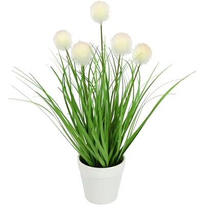 Flair Flower Knappgräs i kruka konstgräs, grönt konstgräs, konstgräs, dekorativt gräs, konstgjorda växter, dekorativa gräs, gräsbussar, prydnadsgräs, dekoration, gräsorrangement, borsthirs, panicoideae, Flair Flower Knappgräs i kruka konstgräs, grönt konstgräs, konstgräs, dekorativt gräs, konstgjorda växter, dekorativa gräs, gräsbussar, prydnadsgräs, dekoration, gräsorrangement, borsthirs, panicoideae,