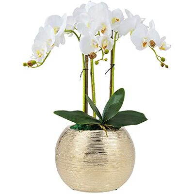 Decor Trends Dekor trender planterare 18 cm rund guldton metallisk planterare kruka dekorativ guld planterare skål formade blomvaser (guld) Decor Trends Dekor trender planterare 18 cm rund guldton metallisk planterare kruka dekorativ guld planterare skål formade blomvaser (guld)