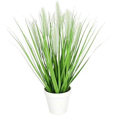 Flair Flower Konstgjort rävsvansgräs i kruka gräs konstgjord växt konstgräs dekorativt gräs gröna växter dekorativa gräs bussar dekorgräs solitärt gräs dekoration gräs rangement borsthirs Panicoideae sötgräs Flair Flower Konstgjort rävsvansgräs i kruka gräs konstgjord växt konstgräs dekorativt gräs gröna växter dekorativa gräs bussar dekorgräs solitärt gräs dekoration gräs rangement borsthirs Panicoideae sötgräs