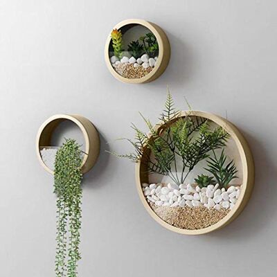 VEVLU 3-pack set väggplanterare, modern rund glasväggplanterare suckulent planterare cirkel järn hängande planteringsvas för ört, liten kaktus perfekt för balkong, rum och uteplats dekor (guld) VEVLU 3-pack set väggplanterare, modern rund glasväggplanterare suckulent planterare cirkel järn hängande planteringsvas för ört, liten kaktus perfekt för balkong, rum och uteplats dekor (guld)