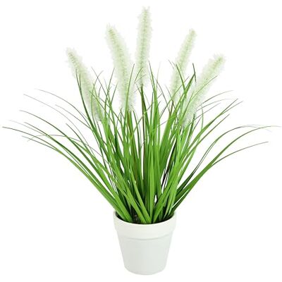 Flair Flower Konstgjort rävsvansgräs i kruka gräs konstgjord växt konstgräs dekorativt gräs gröna växter dekorativa gräs bussar dekorgräs solitärt gräs dekoration gräs rangement borsthirs Panicoideae sötgräs Flair Flower Konstgjort rävsvansgräs i kruka gräs konstgjord växt konstgräs dekorativt gräs gröna växter dekorativa gräs bussar dekorgräs solitärt gräs dekoration gräs rangement borsthirs Panicoideae sötgräs