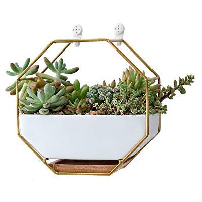 VanEnjoy 17,78 cm vita keramiska väggplanterare vas och koppar, dräneringshål med bambubricka – suckulent kruka luftväxter mini kaktus konstgjorda blommor hängande geometrisk hexagon väggdekor VanEnjoy 17,78 cm vita keramiska väggplanterare vas och koppar, dräneringshål med bambubricka – suckulent kruka luftväxter mini kaktus konstgjorda blommor hängande geometrisk hexagon väggdekor