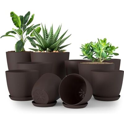 Utopia Home Plastplantor Blomkrukor för barnkammare, inomhus, moderna dekorativa plastkrukor för växter, suckulenter, blommor och kaktus (10-pack, flerfärgad, brun) Utopia Home Plastplantor Blomkrukor för barnkammare, inomhus, moderna dekorativa plastkrukor för växter, suckulenter, blommor och kaktus (10-pack, flerfärgad, brun)