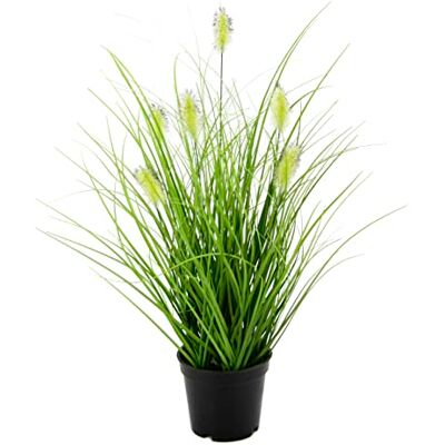 Flair Flower Konstgjort gräs i kruka konstgräs dekorativt gräs bussar solitär dekoration rangement borsthirs Panicoideae sötgräs Flair Flower Konstgjort gräs i kruka konstgräs dekorativt gräs bussar solitär dekoration rangement borsthirs Panicoideae sötgräs