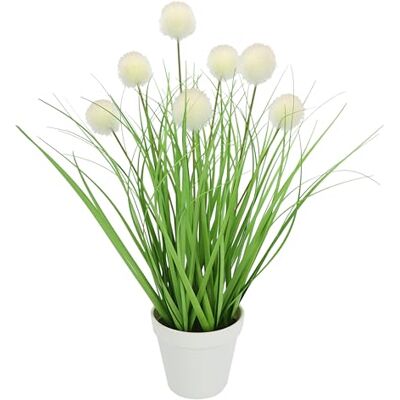 Flair Flower Knappgräs i kruka konstgräs, grönt konstgräs, konstgräs, dekorativt gräs, konstgjorda växter, dekorativa gräs, gräsbussar, prydnadsgräs, dekoration, gräsorrangement, borsthirs, panicoideae, Flair Flower Knappgräs i kruka konstgräs, grönt konstgräs, konstgräs, dekorativt gräs, konstgjorda växter, dekorativa gräs, gräsbussar, prydnadsgräs, dekoration, gräsorrangement, borsthirs, panicoideae,