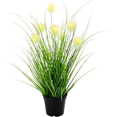Flair Flower Knappgräs i kruka, konstgräs, konstgräs, konstgräs, dekorativt gräs, dekorativa gräs, grästbussar, dekoration, gräsrangemang, borsthirs, Panicoideae, sött gräs, Setaria Flair Flower Knappgräs i kruka, konstgräs, konstgräs, konstgräs, dekorativt gräs, dekorativa gräs, grästbussar, dekoration, gräsrangemang, borsthirs, Panicoideae, sött gräs, Setaria