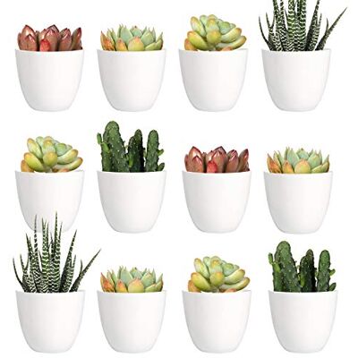 Youngever 24-pack 5 cm mini plastplanterare, inomhus blomkrukor, vit trädgårdskruka med dränering – ingen växt ingår (modern) Youngever 24-pack 5 cm mini plastplanterare, inomhus blomkrukor, vit trädgårdskruka med dränering – ingen växt ingår (modern)