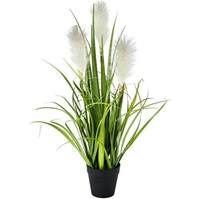 Flair Flower Konstgjort pampas gräs i kruka fjädergräs strandgräs silkesblommor gräsbuske dekorativa gräs konstgjorda växter solitärt gräs dekorativt gräs pampasgräs konstgjord blomma konstgräs grön växt Flair Flower Konstgjort pampas gräs i kruka fjädergräs strandgräs silkesblommor gräsbuske dekorativa gräs konstgjorda växter solitärt gräs dekorativt gräs pampasgräs konstgjord blomma konstgräs grön växt