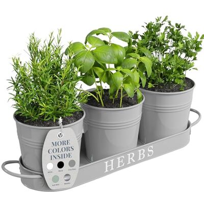 Barnyard Designs inomhus ört trädgårdsplanterare set med bricka, metallfönsterbräda växtkrukor med dränering för utomhus- eller inomhusväxter, grå, set/3 Barnyard Designs inomhus ört trädgårdsplanterare set med bricka, metallfönsterbräda växtkrukor med dränering för utomhus- eller inomhusväxter, grå, set/3
