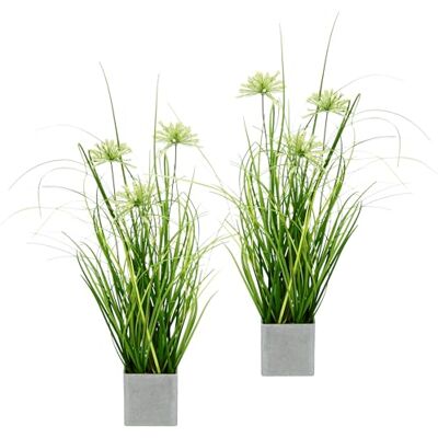 Flair Flower Konstgjord gräsbuske med blommor i kruka, set om 2, konstgräs, dekorativt gräs, konstgjord växt, grön växt, växt, prydnadsgräs, buske, konstgjord blomma, balkong, buske, gräsbuske, inomhusväxt Flair Flower Konstgjord gräsbuske med blommor i kruka, set om 2, konstgräs, dekorativt gräs, konstgjord växt, grön växt, växt, prydnadsgräs, buske, konstgjord blomma, balkong, buske, gräsbuske, inomhusväxt