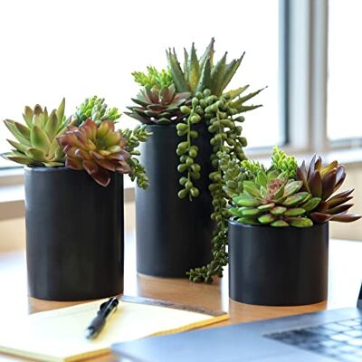 SEEKO Succulents SEEKO Konstgjorda suckulenter i keramiska krukor – set med 3 realistiska och vackra blandade falska suckulenter för matt svart dekor, skrivbordsdekor, kontorsväxter och suckulent dekor (svart kruka) SEEKO Succulents SEEKO Konstgjorda suckulenter i keramiska krukor – set med 3 realistiska och vackra blandade falska suckulenter för matt svart dekor, skrivbordsdekor, kontorsväxter och suckulent dekor (svart kruka)
