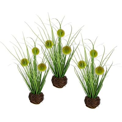 Flair Flower Konstgjort knappgräs i riset bo gräs konstgjord växt konstgräs dekorativt gräs gröna växter dekorativa gräs buske dekorgräs solitärt gräs dekoration gräs rangement borst hirs panicoideae sötgräs Flair Flower Konstgjort knappgräs i riset bo gräs konstgjord växt konstgräs dekorativt gräs gröna växter dekorativa gräs buske dekorgräs solitärt gräs dekoration gräs rangement borst hirs panicoideae sötgräs