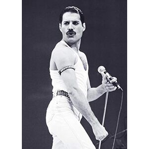 Close Up Affisch Queen Freddie Mercury (59,5 cm x 84 cm) Close Up Affisch Queen Freddie Mercury (59,5 cm x 84 cm)