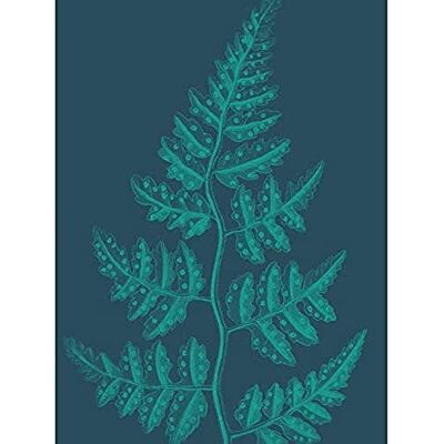 Wee Blue Coo Marinblå och blågrön ormbunksblad oramat konsttryck affisch väggdekor 30 x 40 cm Wee Blue Coo Marinblå och blågrön ormbunksblad oramat konsttryck affisch väggdekor 30 x 40 cm