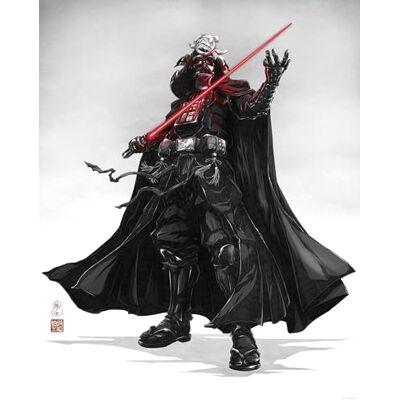 Komar Väggmålning – Star Wars Vision Samurai Dark Lord – storlek 40 x 50 cm – barnrum, väggdekoration Komar Väggmålning – Star Wars Vision Samurai Dark Lord – storlek 40 x 50 cm – barnrum, väggdekoration