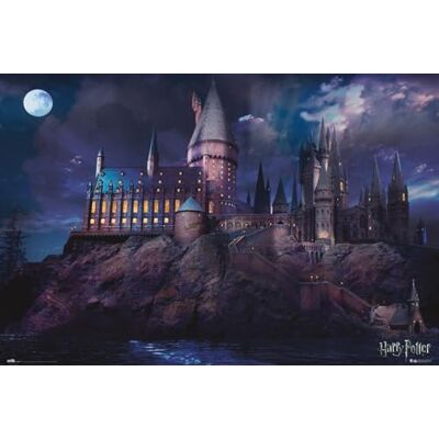 Grupo Erik Harry Potter Hogwarts Poster 36 x 24 inches / 91.5 x 61 cm Shipped Rolled Up Cool Posters Art Poster Posters & Prints Wall Posters Grupo Erik Harry Potter Hogwarts Poster 36 x 24 inches / 91.5 x 61 cm Shipped Rolled Up Cool Posters Art Poster Posters & Prints Wall Posters