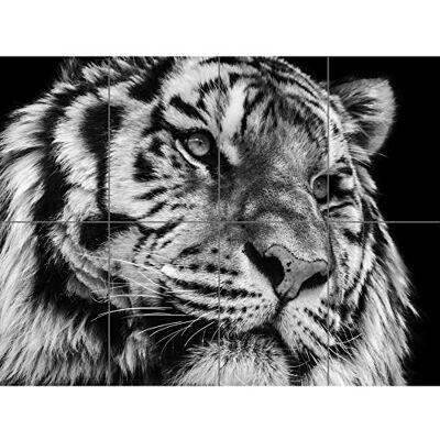 Artery8 PANDT0136 Tiger närbild poster - Poster Artery8 PANDT0136 Tiger närbild poster - Poster