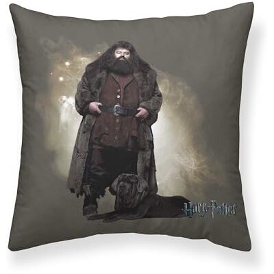BL BELUM BELUM Harry Potter kuddfodral Storlek: 50 x 50 cm – Modell: Hagrid A – Tyg: Halva Panama 100% bomull, 250 g. BL BELUM BELUM Harry Potter kuddfodral Storlek: 50 x 50 cm – Modell: Hagrid A – Tyg: Halva Panama 100% bomull, 250 g.