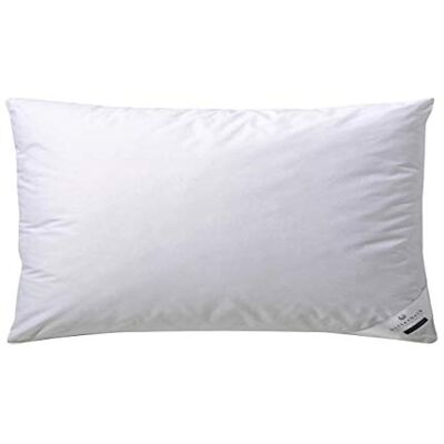 Billerbeck Dunkudde Martina – kudde i 40 x 80 cm – kudde med fast stödkraft – gåsdun 15% och fjädrar 85% Billerbeck Dunkudde Martina – kudde i 40 x 80 cm – kudde med fast stödkraft – gåsdun 15% och fjädrar 85%