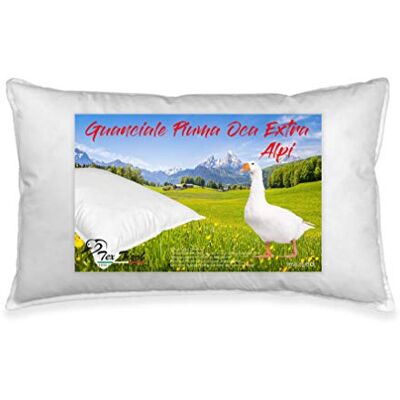 Tex Tirol Alpi - Gåseduns kudde - 50x80cm - Tillverkad i Italien Tex Tirol Alpi - Gåseduns kudde - 50x80cm - Tillverkad i Italien