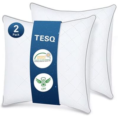 TESQ Kudde 60 x 60 cm, set med 2, lyxig hotellkudde, set med 2 kuddar mjuk komfort, andningsbar och allergivänlig, Oeko-TEX-certifierad, lämplig för alla sömnpositioner TESQ Kudde 60 x 60 cm, set med 2, lyxig hotellkudde, set med 2 kuddar mjuk komfort, andningsbar och allergivänlig, Oeko-TEX-certifierad, lämplig för alla sömnpositioner