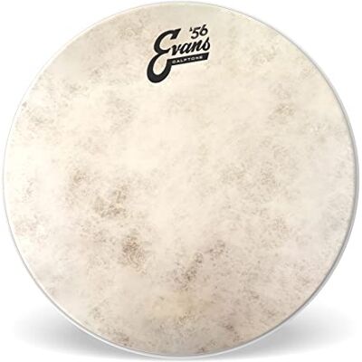 Evans trumskinn – Calftone Tom trumskinn, 30,5 cm (12 tum) Evans trumskinn – Calftone Tom trumskinn, 30,5 cm (12 tum)