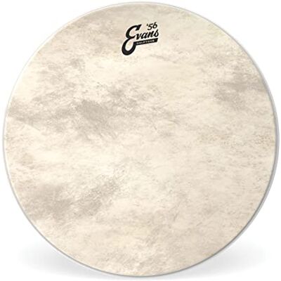 Evans BD22CT bassrum-päls Evans BD22CT bassrum-päls