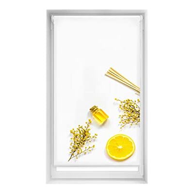 Blindecor Easy borrade estorer Tryck Genomskinlig stor Digitalt tryck, Citron, 85 x 150 cm (bredd med höjd). Tygstorlek 82 x 145cm Blindecor Easy borrade estorer Tryck Genomskinlig stor Digitalt tryck, Citron, 85 x 150 cm (bredd med höjd). Tygstorlek 82 x 145cm