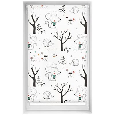 Blindecor Lätt stämplar utan borrning Genomskinlig Estor Digitalt tryck, Into The Wood, 90 x 150 cm (bredd per höjd). Tygstorlek 87 x 145 cm Blindecor Lätt stämplar utan borrning Genomskinlig Estor Digitalt tryck, Into The Wood, 90 x 150 cm (bredd per höjd). Tygstorlek 87 x 145 cm