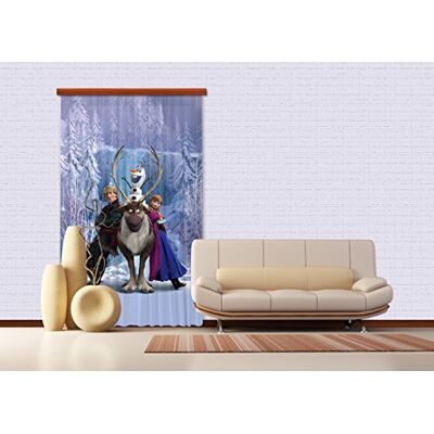 AG Design Disney Frozen, barnrum gardin, 140 x 245 cm, 1 del, FCPL 6104, polyester flerfärgad, 140 x 245 cm AG Design Disney Frozen, barnrum gardin, 140 x 245 cm, 1 del, FCPL 6104, polyester flerfärgad, 140 x 245 cm