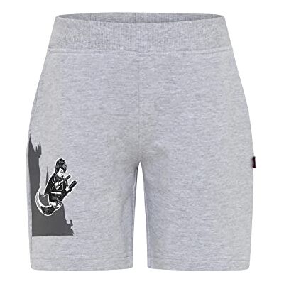 Lego unisex vuxen Shorts Harry Potter-shorts Unisex Kurze Slang Lwparker 306 Lego unisex vuxen Shorts Harry Potter-shorts Unisex Kurze Slang Lwparker 306