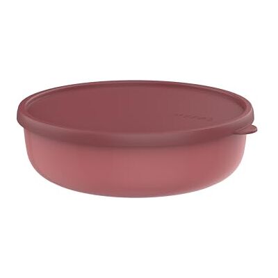 Mepal Easyclip Matbehållare I Glas Med Lock Som Stängs Med Klämmor, Lufttät, Läckagesäker Och Lämplig För Mikrovågsugn, Ångkokare, Ugn, Kylskåp Och Frys, 2 250 Ml, Ljusgrön,Nordic Sage Mepal Easyclip Matbehållare I Glas Med Lock Som Stängs Med Klämmor, Lufttät, Läckagesäker Och Lämplig För Mikrovågsugn, Ångkokare, Ugn, Kylskåp Och Frys, 2 250 Ml, Ljusgrön,Nordic Sage