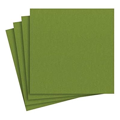Caspari papperslinne solida cocktailservetter i bladgrönt – 15 per paket Caspari papperslinne solida cocktailservetter i bladgrönt – 15 per paket