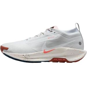 NIKE Pegasus Trail 5 Gore-Tex Sneaker för män, Pure Platinum White Football G, 46 EU NIKE Pegasus Trail 5 Gore-Tex Sneaker för män, Pure Platinum White Football G, 46 EU