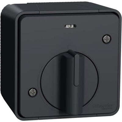 Schneider Electric MUR35067 Mureva Styl – LED tidsbrytare – ytmonterad – IP55 – IK08 – grå Inter Tempo Schneider Electric MUR35067 Mureva Styl – LED tidsbrytare – ytmonterad – IP55 – IK08 – grå Inter Tempo