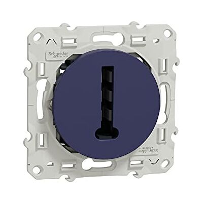 Schneider Electric Odace, T-konjunktor, 8 kontakter, skruv, kobolt S550496 Schneider Electric Odace, T-konjunktor, 8 kontakter, skruv, kobolt S550496