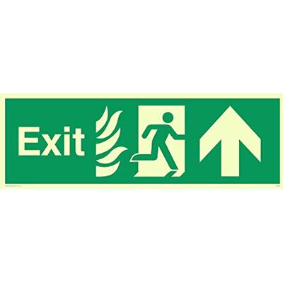 Vikingskyltar SG689-L31-P Fire "Exit"-skylt, vänd uppåtpil, halvstyv fotoluminescerande plast, 100 mm H x 300 mm B Vikingskyltar SG689-L31-P Fire "Exit"-skylt, vänd uppåtpil, halvstyv fotoluminescerande plast, 100 mm H x 300 mm B