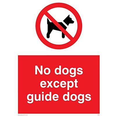Vikingskyltar PV47-A5P-3M "No Dogs Except Guide Dogs" skylt, plast, 3 mm styv, 200 mm H x 150 mm B Vikingskyltar PV47-A5P-3M "No Dogs Except Guide Dogs" skylt, plast, 3 mm styv, 200 mm H x 150 mm B