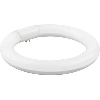 Brightium T9 cirkulär LED-lampa 40 cm, 32 W, kall effektiv belysning för kommersiella och bostadsmiljöer. Brightium T9 cirkulär LED-lampa 40 cm, 32 W, kall effektiv belysning för kommersiella och bostadsmiljöer.