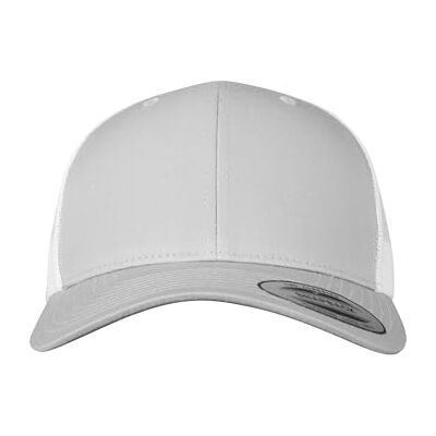 Flexfit Unisex baseballkeps, ogenomskinlig, silver/vit, one size Flexfit Unisex baseballkeps, ogenomskinlig, silver/vit, one size