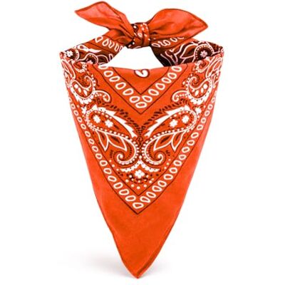 EUROXANTY Bandana 100 % bomull Halsduk, huvud, handled Unik design Halsdukar för mode och sport , Apelsin, one size EUROXANTY Bandana 100 % bomull Halsduk, huvud, handled Unik design Halsdukar för mode och sport , Apelsin, one size
